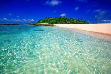 Tropical Island with a paradise beach and palm trees