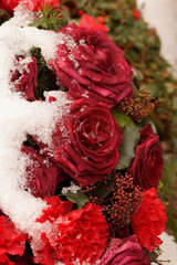 Macro on frozen red roses. Funeral arrangement covered in snow.