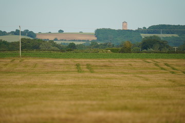 rural landscape with field and blue sky