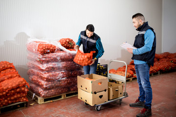 Fresh vegetables and fruit in warehouse