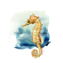 Watercolor seahorse. Underwater nautical illustration isolated on white background. For design, prints or background. © yuliya_derbisheva