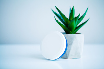 Spa concept. Aloe vera plant on table in bathroom