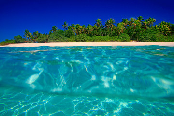 Tropical Island with a paradise beach and palm trees