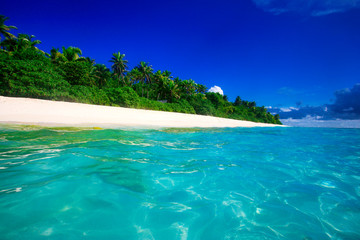 Tropical Island with a paradise beach and palm trees