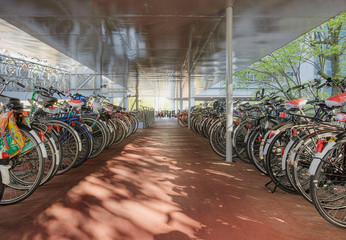 Bicycles Under a Shelter