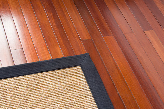 Area Rug on Wood Floor