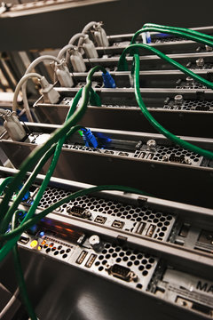 Green Cables Connected to the Back of a Server