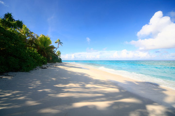 Tropical Island with a paradise beach and palm trees