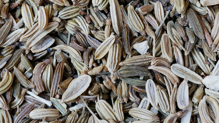 Close-up of Seeds of Fennel, Foeniculum vulgare, Food Background