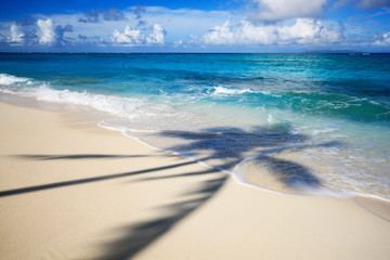 beach and sea