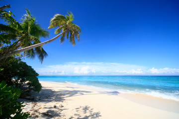 Tropical Island with a paradise beach and palm trees