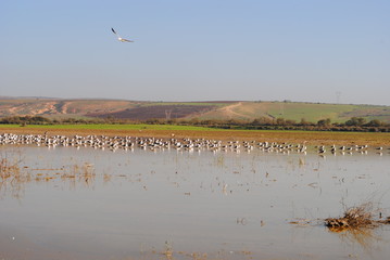 Lac oum el ghlaz