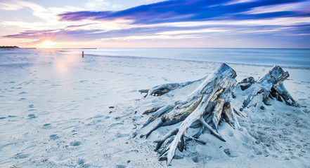 Driftwood on a beach in Ustka, Baltic Sea, Poland - obrazy, fototapety, plakaty