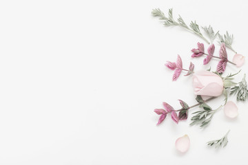 plants and flowers on white  background