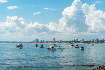 Lot of boats just outside the harbor of Punta Del Este, Uruguay, January 28th 2019