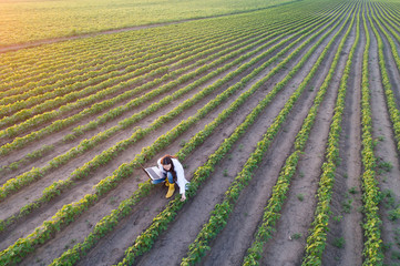 Top view of agronomist checking plant growth in field