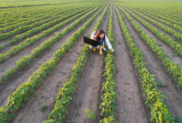 Top view of agronomist checking plant growth in field