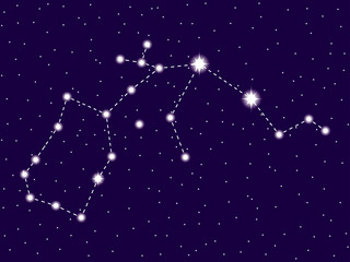 Obraz na płótnie Canvas Aquarius constellation. Starry night sky. Zodiac sign. Vector illustration