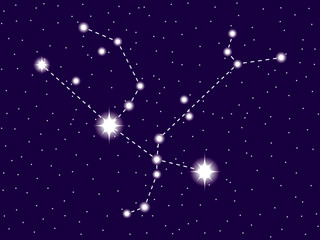 Obraz na płótnie Canvas Andromeda constellation. Starry night sky. Vector illustration