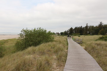 Holzsteg durch die Dünen der Nordseeinsel Föhr