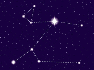 Obraz na płótnie Canvas Canis Major constellation. Starry night sky. Vector illustration