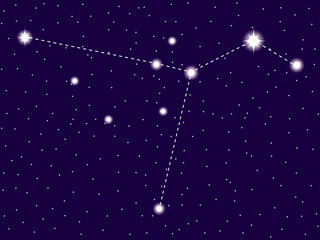 Obraz na płótnie Canvas Columba constellation. Starry night sky. Vector illustration