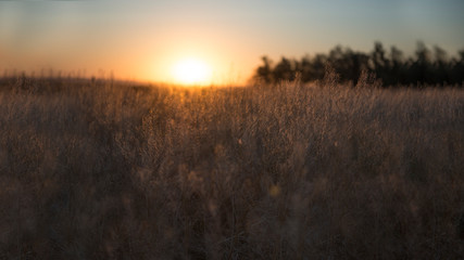 Calm of country meadow sunrise landscape background