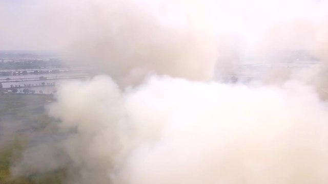 The forest fire is burning