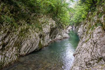 Fototapeta na wymiar Mountain river in a stone gorge with a green forest on the slopes.