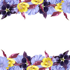 Beautiful floral background of chicory and aquilegia. Isolated