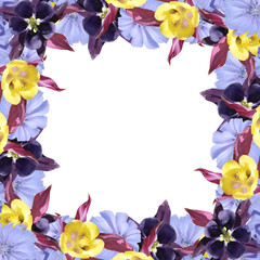 Beautiful floral background of chicory and aquilegia. Isolated