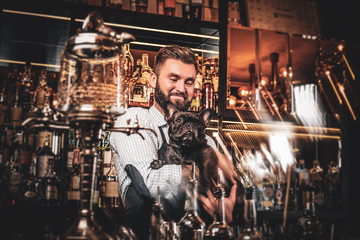 Cheerful bar owner have nice time with his pet small bulldog. Bottles and glasses at background.