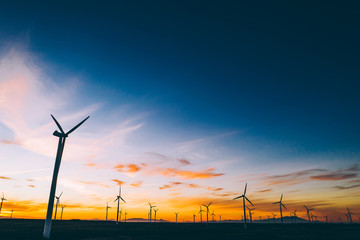 Obraz premium Silhouette of windmills station with propellers generating alternative clean green power from eco resources in rural agri environment against blue sunset sky. Farm of turbines producing electricity