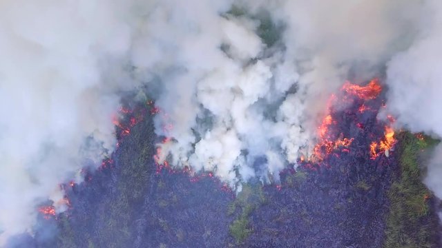The forest fire is burning