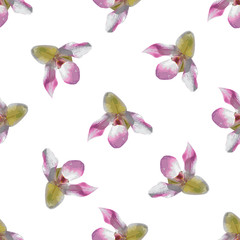seamless pattern with orchid flowers on white background