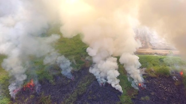 The forest fire is burning