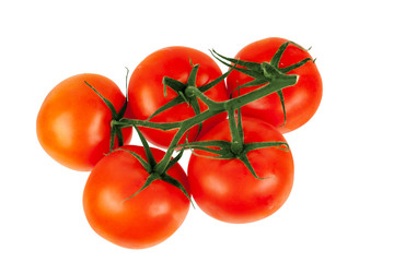 A sprig of tomato on a white background.