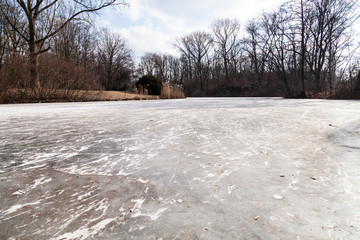 Neuer See zugefroren im Februar im Tiergarten Berlin