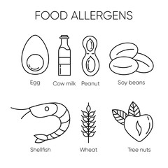 Common food allergens – set of vector linear icons with egg, cow milk, peanut, soy beans, shellfish, wheat and tree nuts.