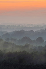 Obraz premium Mystical view from top on forest under haze at early morning. Mist among layers from tree silhouettes in taiga under warm predawn sky. Morning atmospheric minimalistic landscape of majestic nature.