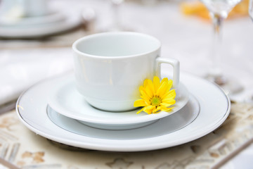 white ceramic breakfast cup
