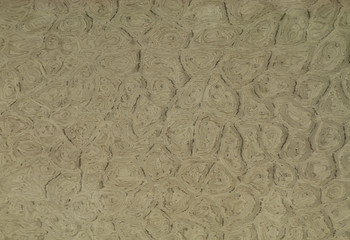 Examples of wood veneers made of different types of wood to give a wooden appearance by being coated on chipboard