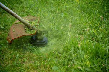 Grass trimming on a sunny day