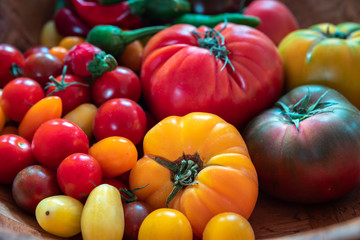 Tomaten in der Küche