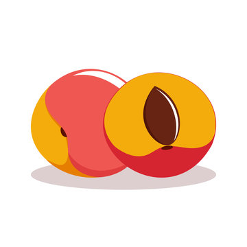 peaches, color vector fruit