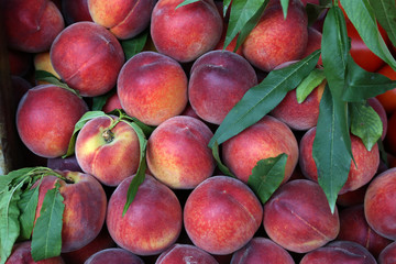 Various fruits for sale in a market in Croatia