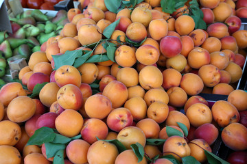 Various fruits for sale in a market in Croatia