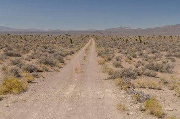 unpaved Silver Tank road in Tikaboo Valley (Lincoln County, Nevada)