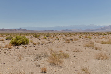 barren shadscale desert near Coaldale (Esmeralda County, Nevada) and distant peaks of White Mountains 