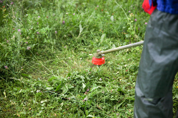 The gardener slams grass in the garden with a Brushcutter